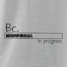 In progress  titul Bc. bakalář / bakalářka