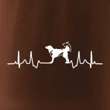 Český strakatý pes EKG