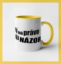 Každý má právo na můj názor