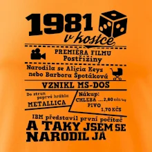 1981 v kostce