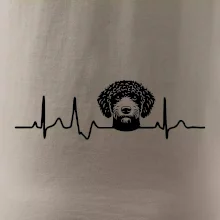 Lagotto romagnolo hlava EKG