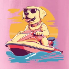 Zlatý retrívr na vodním skútru