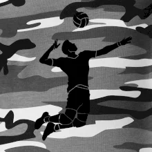 Volejbal nápřah muž