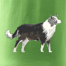 Border kolie kreslená