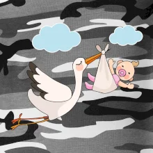 Čáp čekáme miminko - holka