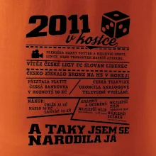 2011 v kostce