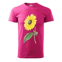 Slunečnice otočená