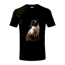 Siamská kočka černá fotka