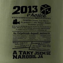 2013 v kostce