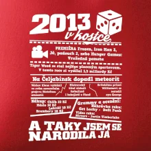 2013 v kostce