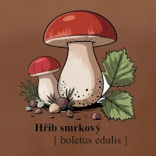 Hřib smrkový - Boletus edulis kreslený