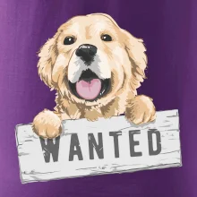 Zlatý retriever - štěně wanted