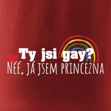Gay princezna