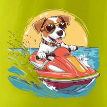 Jack russell teriér na vodním skútru