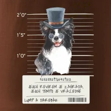 Lump a darebák border kolie