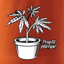 Konopi prostě pěstuju