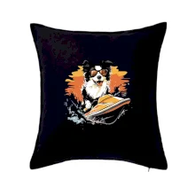 Border Kolie na vodním skútru