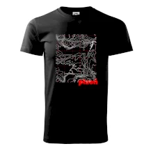 Plzeň - Vrstevnice měst