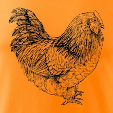 Slepice černobílá