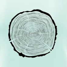 Letokruhy 65 bez věku