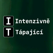 IT Nápis Intenzivně Tápající