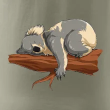 Koala na větvi