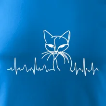 EKG křivka kočka