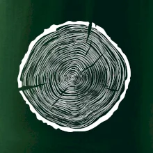 Letokruhy 55 bez věku