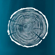 Letokruhy 100 bez věku