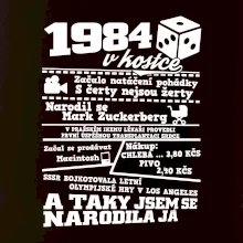1984 v kostce