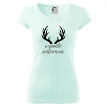 Harry - Expecto patronum