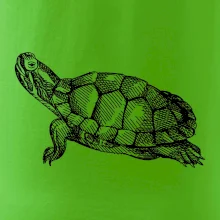 Tužkou kreslená želva