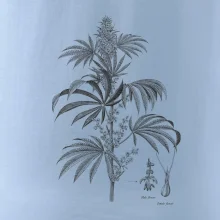 Konopí kytka černobílá