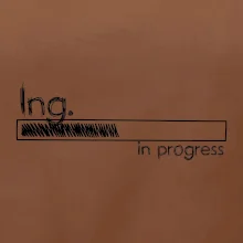 In progress  titul Ing. inženýr / inženýrka