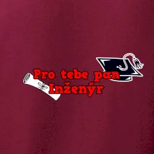 Pro tebe pan Inženýr