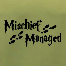 Harry - Mischief Managed