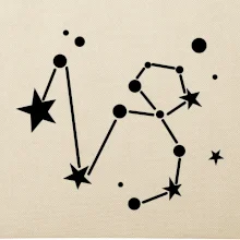 Souhvězdí - Capricorn - Kozoroh