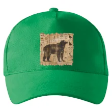 Egyptské hieroglyfy medvěd