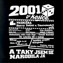 2001 v kostce