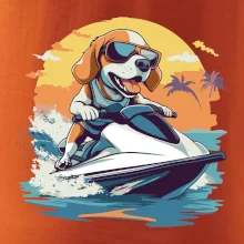 Bígl na vodním skútru