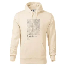 Praděd - vrstevnice v obdélníku