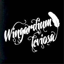 Harry - Wingardium Leviosa