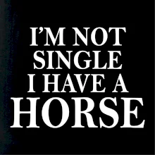 I have a horse - Nepotřebuji přítele I have a horse - Nepotřebuji přítele
