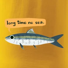 Long time no sea