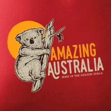 Amazing Australia koala