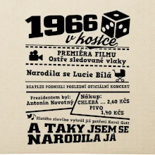1966 v kostce