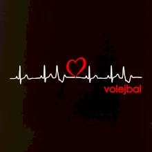 Moje srdce bije pro Volejbal