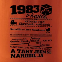 1983 v kostce