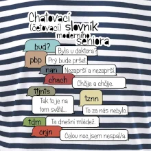 Chatovací slovník moderního seniora (Běžící češtinář)