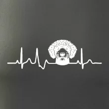 Lagotto romagnolo hlava EKG